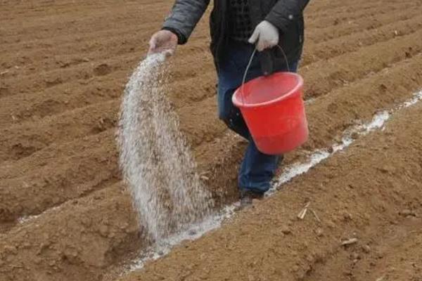 碳酸氢铵属于哪种肥料，是无硫酸根氮肥
