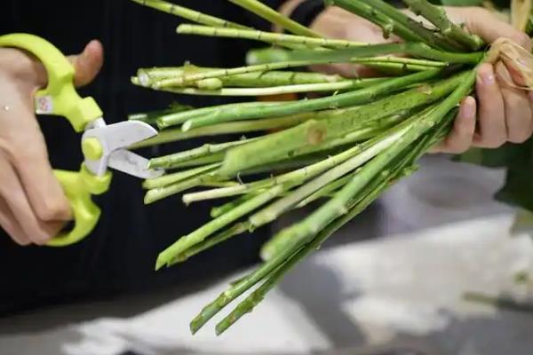乔迁新居适合送什么花，适合选择太阳花、康乃馨等