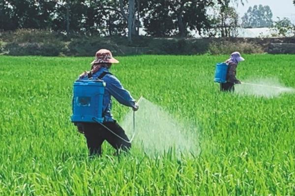 除草剂药害怎么解除，可通过光解或挥发的方式