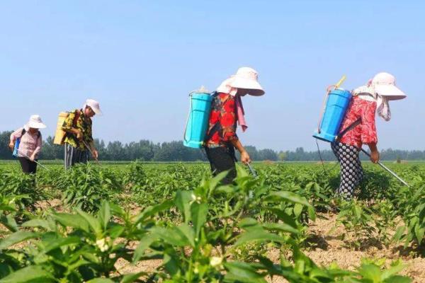 除草剂药害怎么解除，可通过光解或挥发的方式