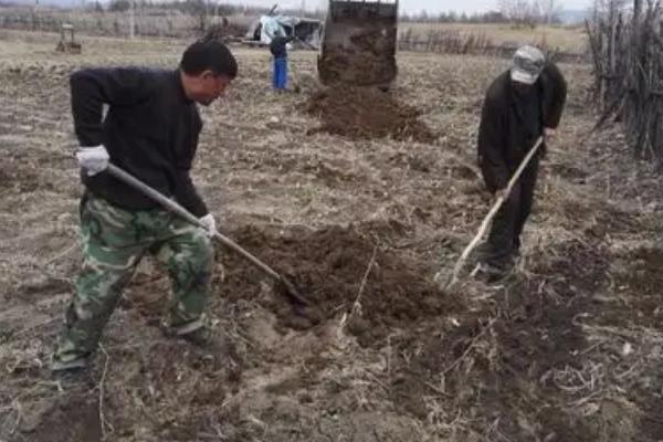 农民一般在什么季节积肥，一年四季都会进行