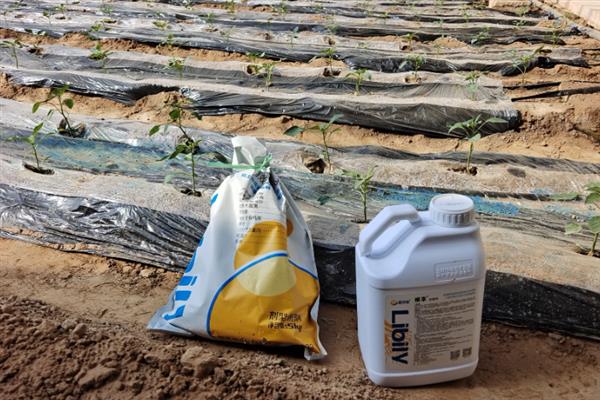 水溶肥的种类，可分为大量元素、中量元素水溶肥料等