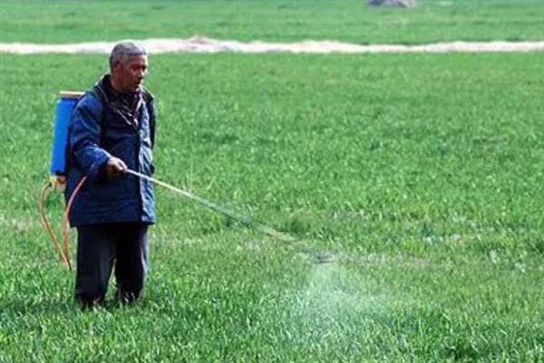 水溶肥的种类，可分为大量元素、中量元素水溶肥料等