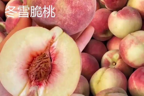 冬桃有什么优良品种，新世纪桃王、金童5号等品种的品质较好
