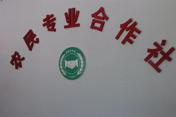 成立农民合作社所需条件，需要5名以上符合规定的成员