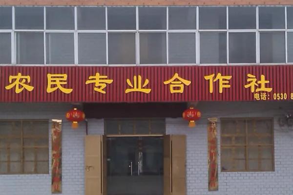 成立农民合作社所需条件，需要5名以上符合规定的成员