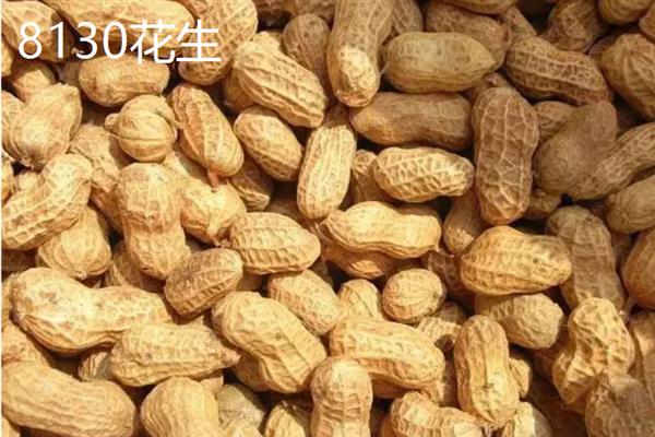 山东有什么新品种花生，青花7号、鲁花19、花育33号等品种的质量较好
