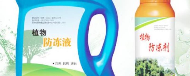 植物防冻剂是否真能防冻,可增强植物的抗寒、抗冻、抗逆能力