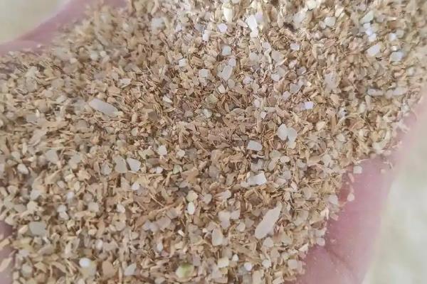 黄粉虫吃什么，通常会吃米糠、麦麸、树叶、蔬菜叶等