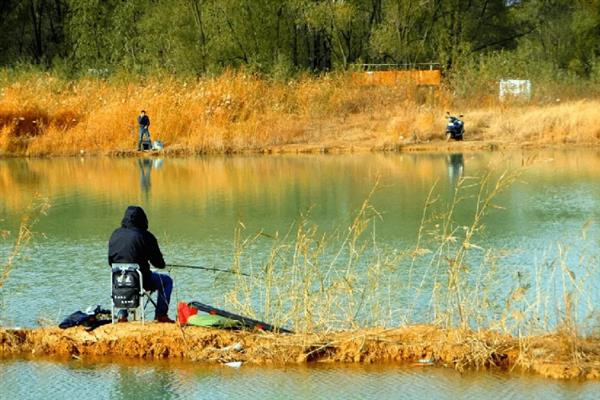 冬季温差大如何垂钓鲫鱼，在水湾、有水草的地方作钓较合适
