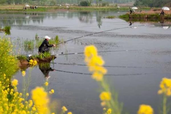 冬季温差大如何垂钓鲫鱼，在水湾、有水草的地方作钓较合适