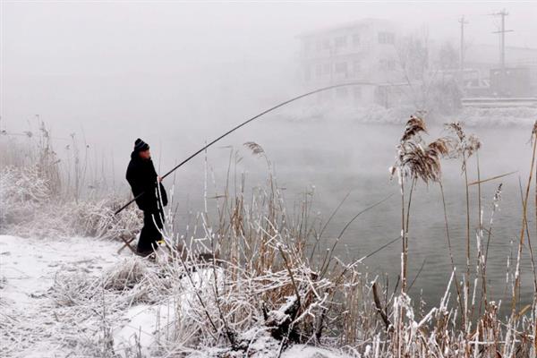 冬季温差大如何垂钓鲫鱼，在水湾、有水草的地方作钓较合适