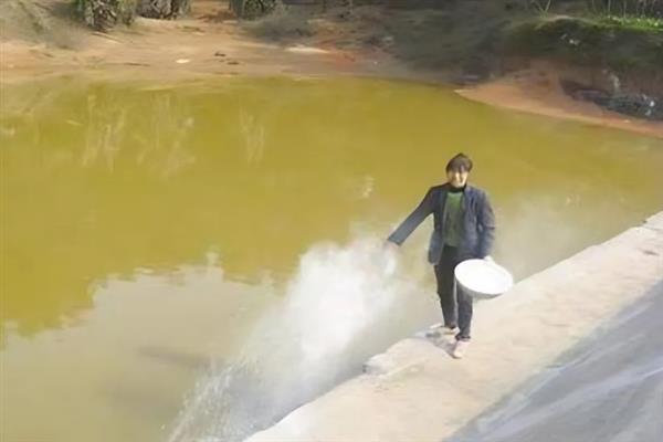 罗非鱼的养殖技术，保持养殖水温不可低于18℃