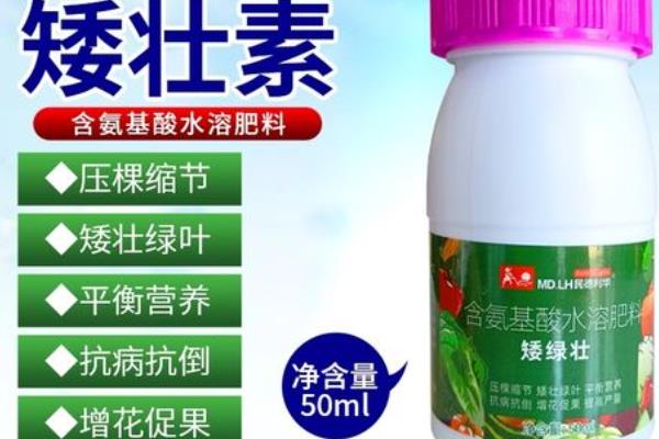 给香雪兰打矮壮素的方式，可以加水稀释后对叶面喷洒