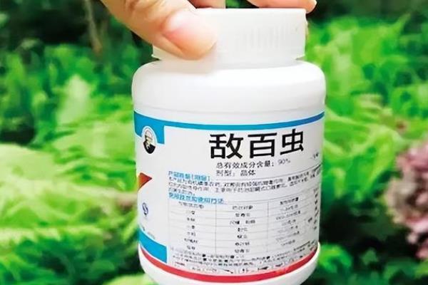怎么防治猕猴桃的病虫害，萌芽期喷施多菌灵可防治炭疽病
