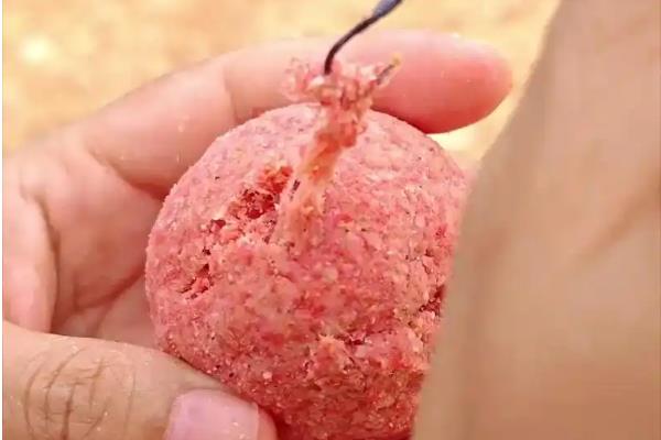 秋冬季节怎么钓鱼，在中午作钓可增加成功率