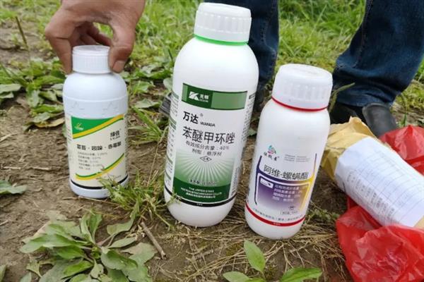 使用常见农药要注意什么，石硫合剂不能在桃、李等植物的生长季节或花果期使用