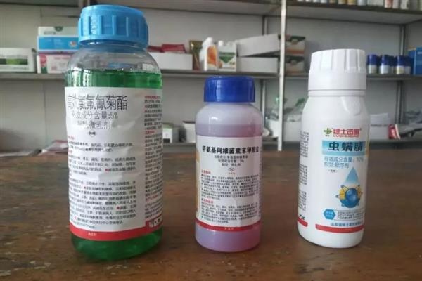 使用常见农药要注意什么，石硫合剂不能在桃、李等植物的生长季节或花果期使用