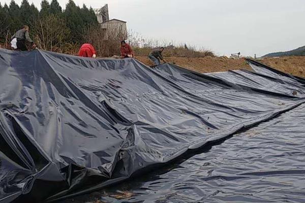 养殖时使用的防渗膜有什么作用，能起到保温遮光、避免鱼类受伤等效果