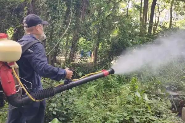 种植白鲜皮的方法，7-8月份要对移栽田增施磷钾肥