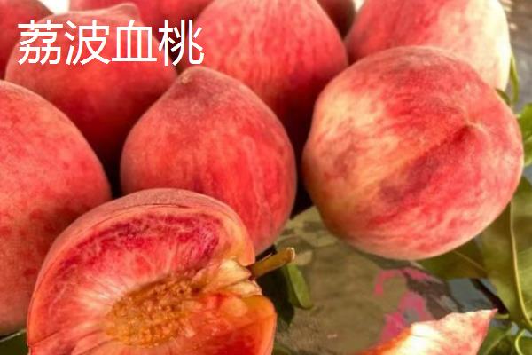 血桃的品种介绍，常见的有荔波血桃、贵妃血桃等
