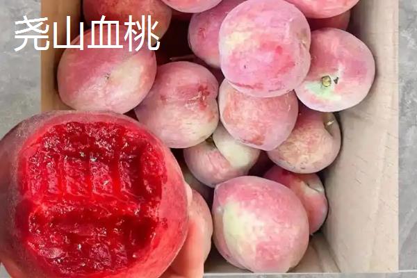 血桃的品种介绍，常见的有荔波血桃、贵妃血桃等