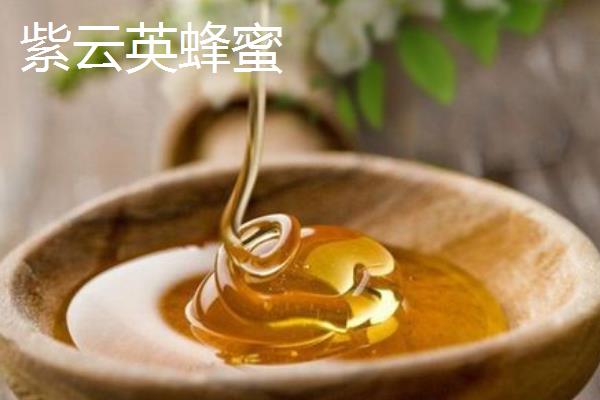 紫云英、椴树和洋槐蜂蜜的区别，蜜源、色泽、口感等有所不同