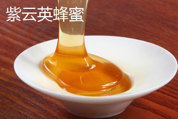 紫云英、椴树和洋槐蜂蜜的区别，蜜源、色泽、口感等有所不同
