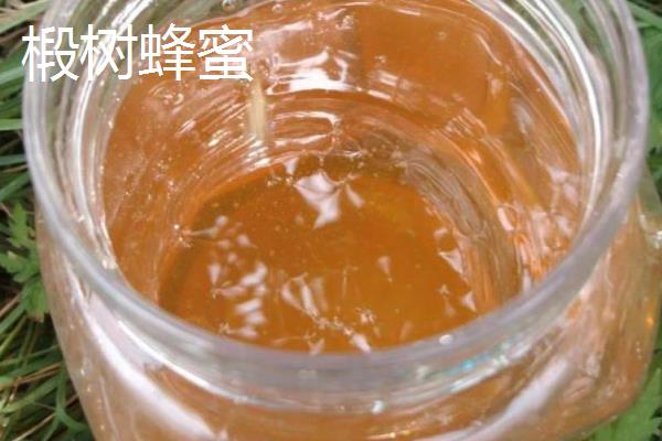 紫云英、椴树和洋槐蜂蜜的区别，蜜源、色泽、口感等有所不同