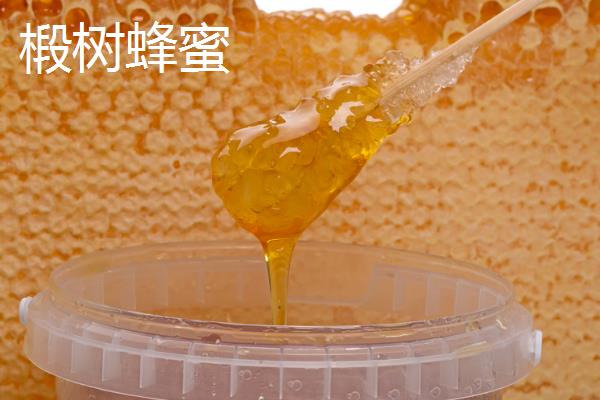 紫云英、椴树和洋槐蜂蜜的区别，蜜源、色泽、口感等有所不同
