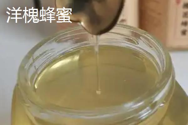 紫云英、椴树和洋槐蜂蜜的区别，蜜源、色泽、口感等有所不同