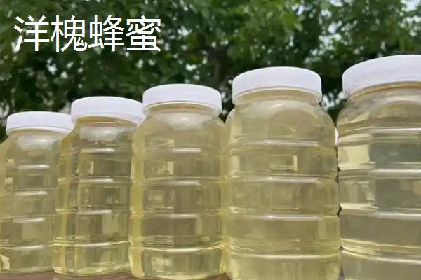 紫云英、椴树和洋槐蜂蜜的区别，蜜源、色泽、口感等有所不同