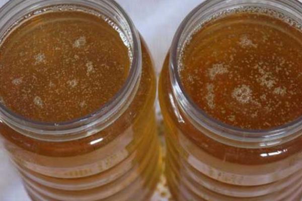 紫云英、椴树和洋槐蜂蜜的区别，蜜源、色泽、口感等有所不同