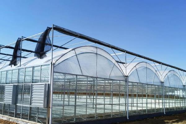 蔬菜大棚的建造价格，不同材质、类型的大棚造价有区别