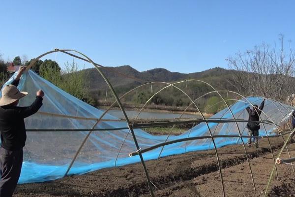 蔬菜大棚的建造价格，不同材质、类型的大棚造价有区别