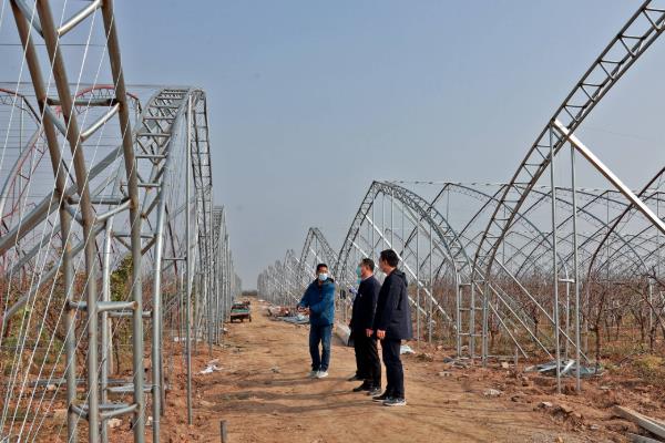 蔬菜大棚的建造价格，不同材质、类型的大棚造价有区别