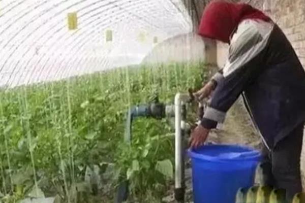 水溶肥怎么使用，经过二次稀释后可提高利用率
