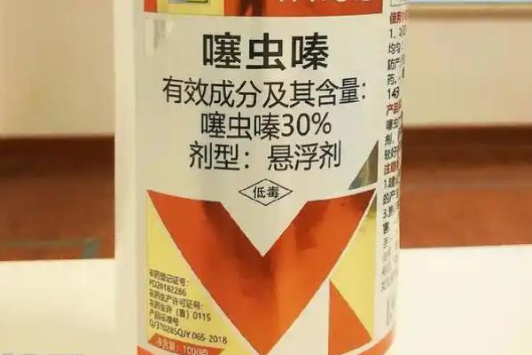 噻虫嗪的防治对象，主要防治鞘翅目、双翅目等害虫