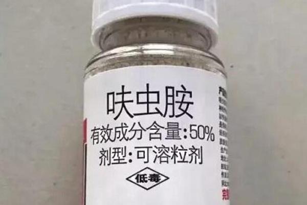 噻虫嗪的防治对象，主要防治鞘翅目、双翅目等害虫