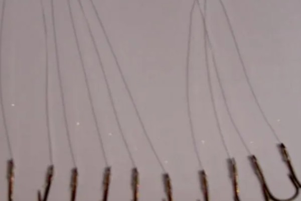 5号千又钩搭配几号子线,适合与4.0号子线、5.0号主线一起使用