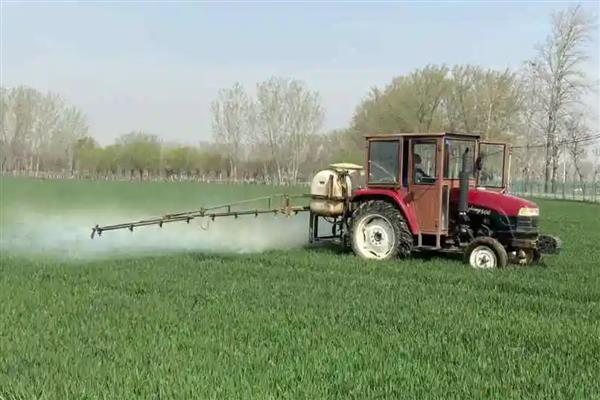 小麦打药后多久下雨没事，经4小时遇到降雨便不会有影响