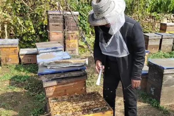 蜂箱通风口开什么位置最好，一般开在箱体上侧