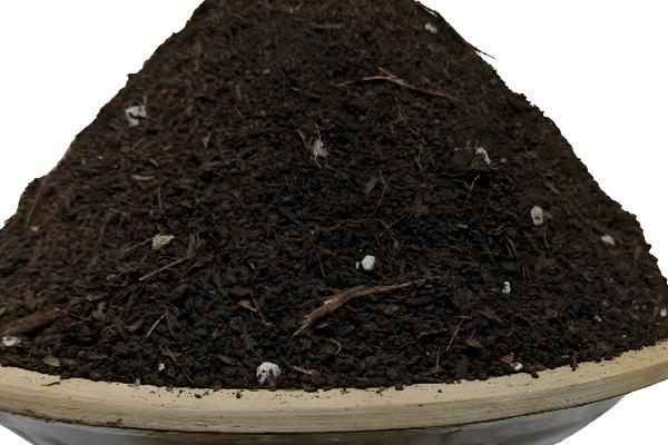 龟背竹的养殖方法，春秋两季3-4天浇一次水