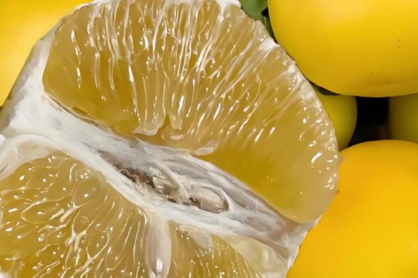 柚子属于哪个季节的水果,一般在秋季成熟