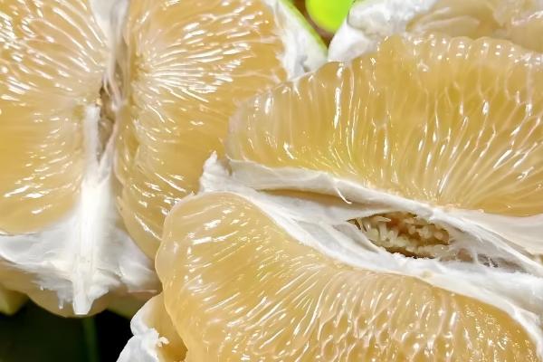 柚子属于哪个季节的水果,一般在秋季成熟