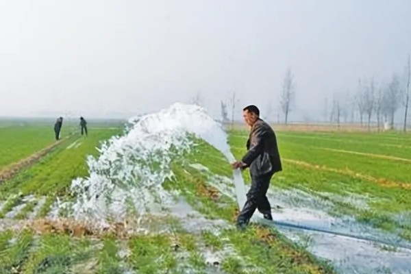 冬季小麦浇灌冻水的好处，可加速作物秸秆腐烂