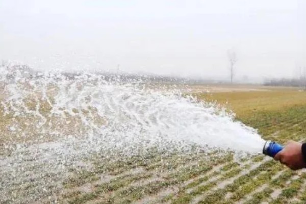 冬季小麦浇灌冻水的好处，可加速作物秸秆腐烂