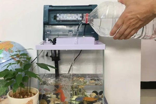 养鱼嘴巴烂了如何解决，换水加盐可以消毒