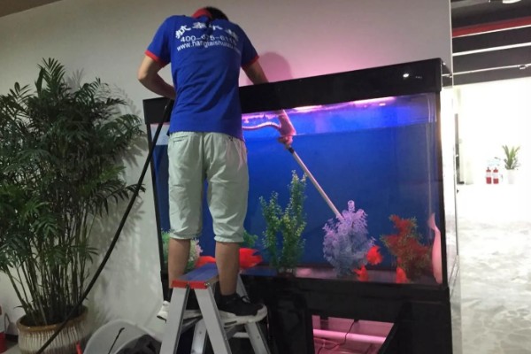 养鱼嘴巴烂了如何解决，换水加盐可以消毒