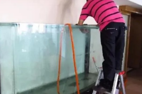 养鱼嘴巴烂了如何解决，换水加盐可以消毒